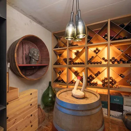 Artes With Free Hot Tub & Sauna Branik