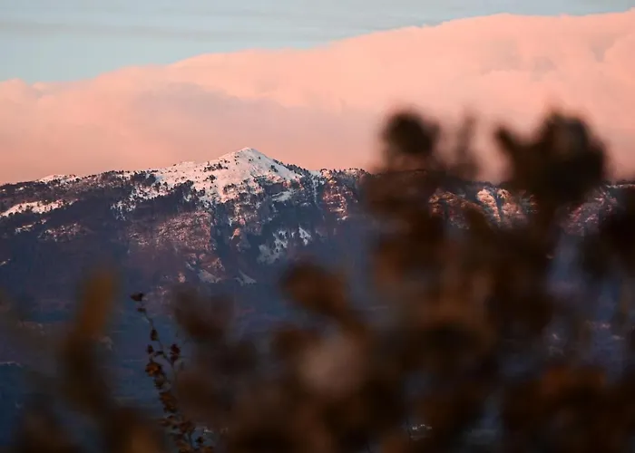 Artes With Free Hot Tub & Sauna